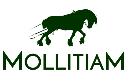 Mollitiam